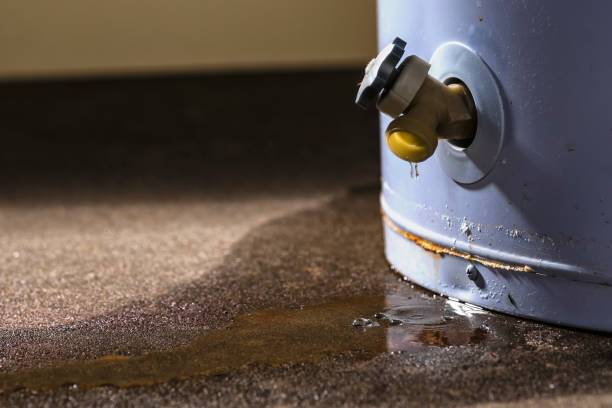 Best 24/7 water damage repair  in Central Heights Midland City, AZ