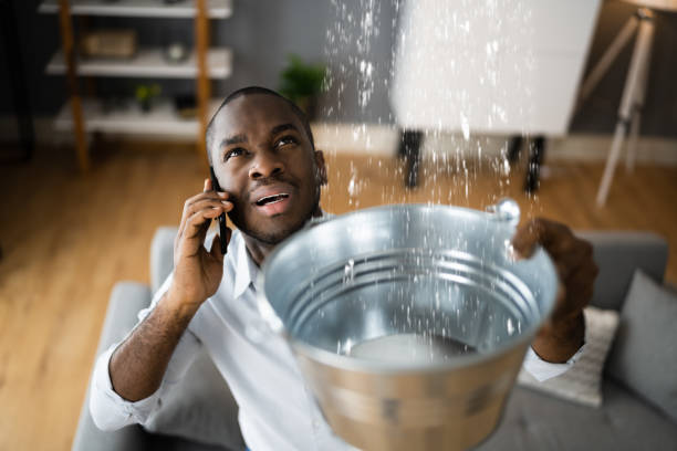 Best Professional water damage repair  in Central Heights Midland City, AZ