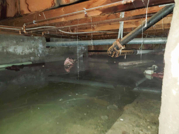 24/7 water damage repair in AZ
