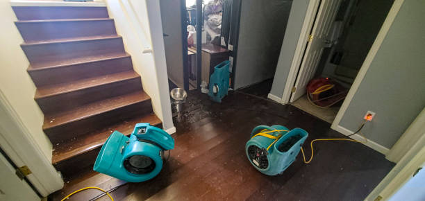 Best Water damage mitigation services  in Central Heights Midland City, AZ
