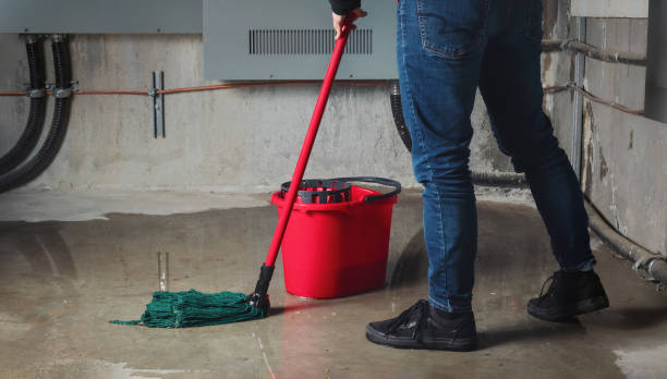 Best Mold removal after water damage  in Central Heights Midland City, AZ