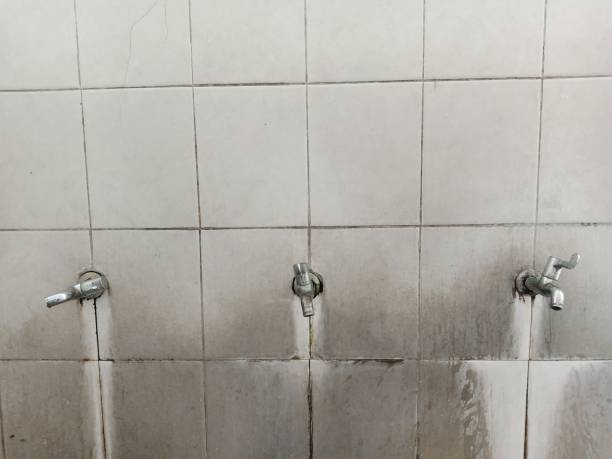 Best Ceiling water damage repair  in Central Heights Midland City, AZ