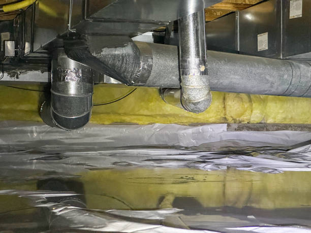 Best Fire Damage Restoration  in Central Heights Midland City, AZ