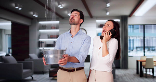 Best Flooded house restoration  in Central Heights Midland City, AZ