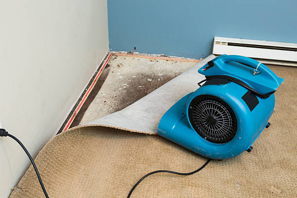 Best Water damage restoration cost  in Central Heights Midland City, AZ